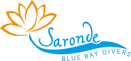 new.sarondeisland.com